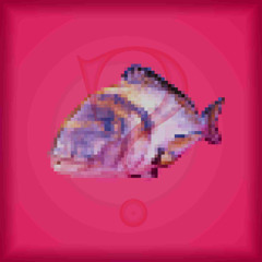 ??? - Live @ The Doodad Art Gallery