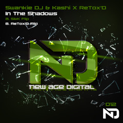 In The Shadows (Swankie DJ & Kashi Flip)