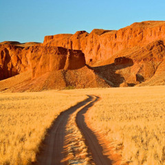 Desire - Jamie Michel