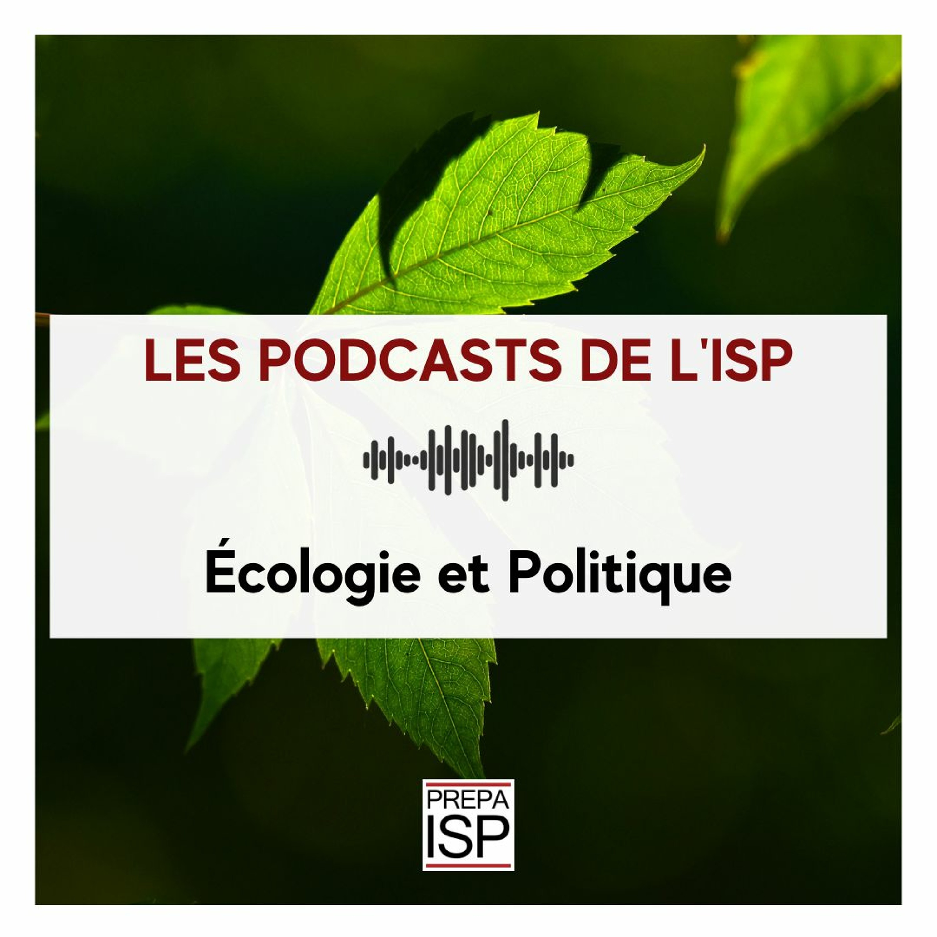 Les podcasts de l\'ISP