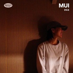 #44 MUI
