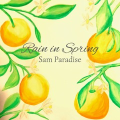 [IMPORTED PREMIERE] Sam Paradise - Rain In Spring