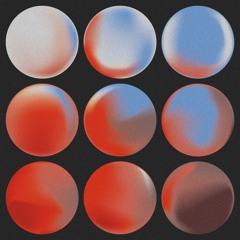 OP029 // Pugilist & Pod - Iridescent