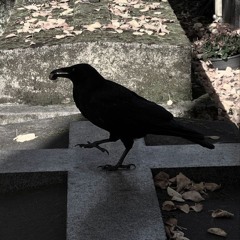 duelo w/ fakush1k [floydie] #loveseason