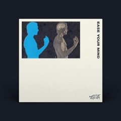 Noble Spirits & Aroma - Ease Your Mind (Limara Remix) [Words Not Enough]