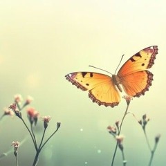 Butterflies In Mind - Drums & Bass