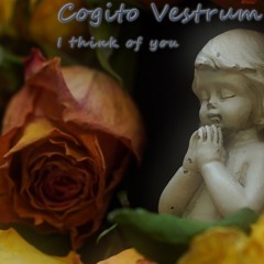 Cogito Vestrum