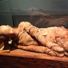 Egypt w stuckinpain {xzzult x nxghtstxlkxr} prod.lokolos