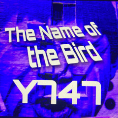 The Name Of The Bird