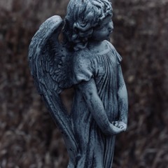 cherish