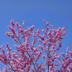 Aviv in Tel Aviv 2024 | Welcoming the Summer