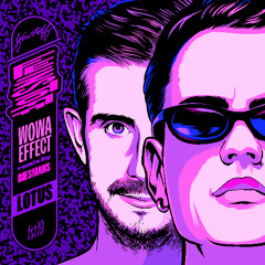 Premiere: Wowa Effect - Lotus (Biesmans Remix) [Feinstoff]