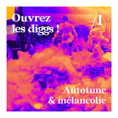 Ouvrez les diggs ! /1 - Autotune & mélancolie