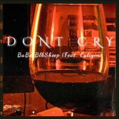 DON'T CRY (feat. Caligin)