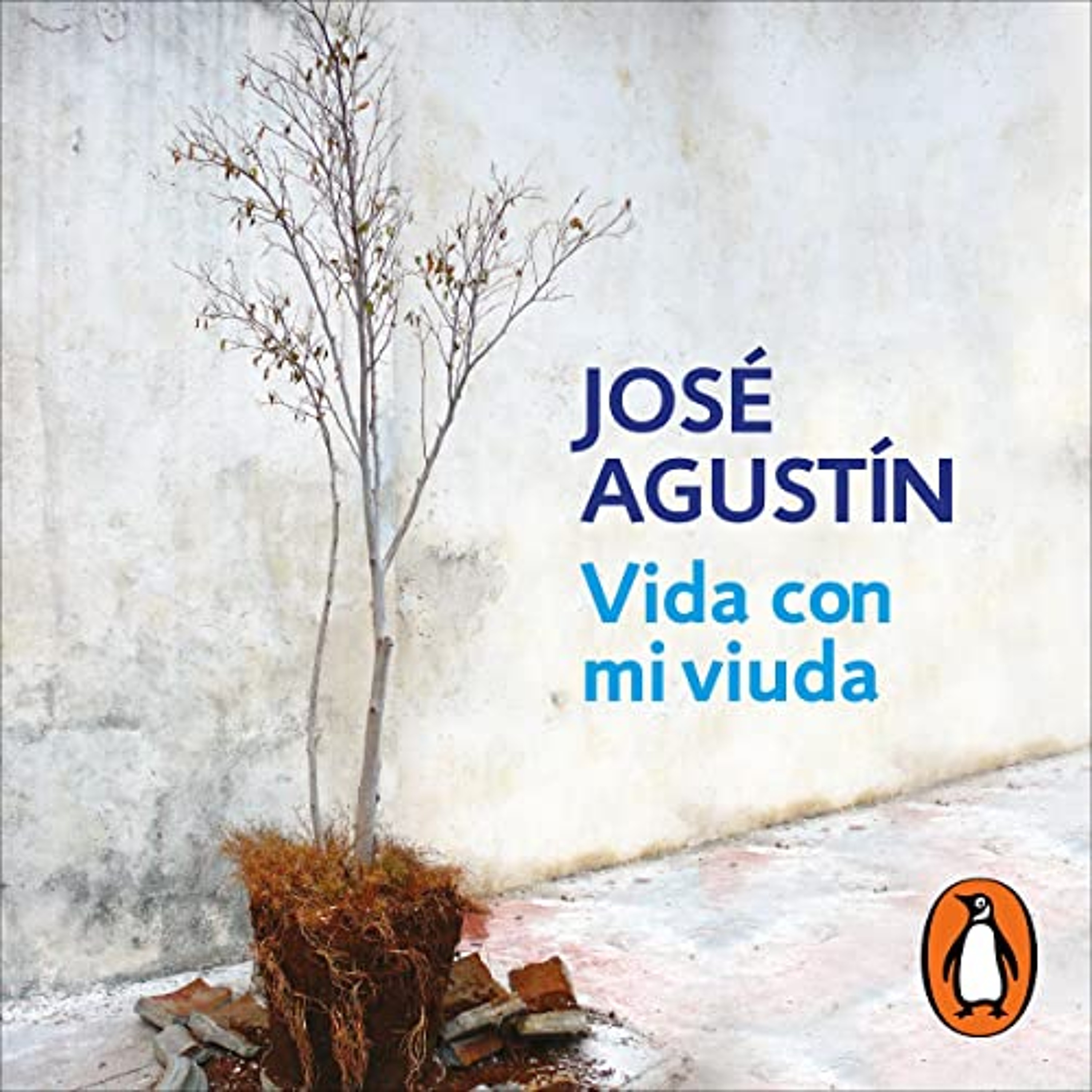 Vida con mi viuda [Life with My Widow] (Audiolibro) | Prueba Gratis