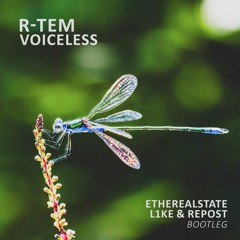 R-Tem - Voiceless (L1ke & Repost, EtherealState Bootleg)