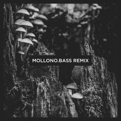 The Orb (Mollono.Bass Remix Short)