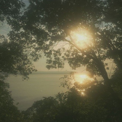 سورة العنكبوت كاملة ||م. محمد حاتم شاهين ||