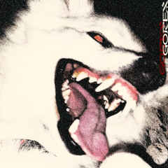 GOREX (SUPER SLOWED)