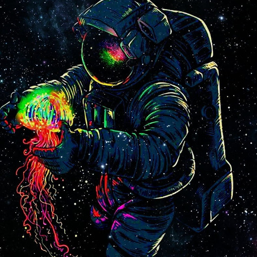 Echo bloom