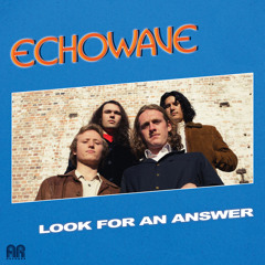 Look For An Answer