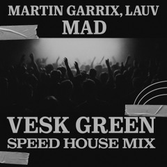 Martin Garrix,Lauv - MAD (VESK GREEN SPEED HOUSE MIX)