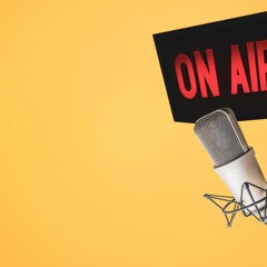 ABC Hobart Mornings 24 December 2024 - Meg Webb MLC
