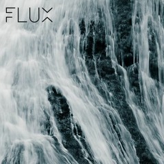 Flux 005