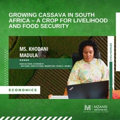 Growing cassava in South Africa – a crop for livelihood and food security