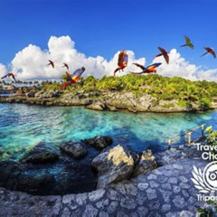 Best Priority Access Xcaret Day Trip With Transportation Tours Review