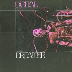 plymtrx - Digital Dreamer (Club Mix) (PMX003)