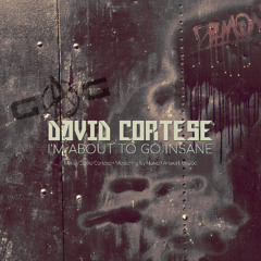 Im About To Go Insane (Original Mix)