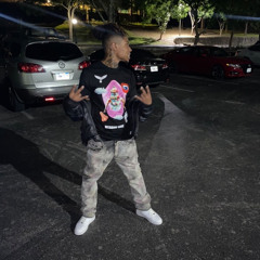 Pblokk Tmurda - Sea Shells