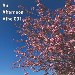 An Afternoon Vibe 001