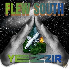 Flew South [DIGICOL RECORDS]