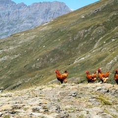 Rifugio