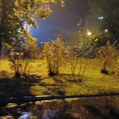 RAINY NIGHT DISCO