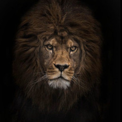 Bottom of my heart- T.R.G.