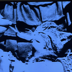 something is happening (feat Claude)