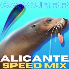Gambino - Alicante (Camurr speed mix)