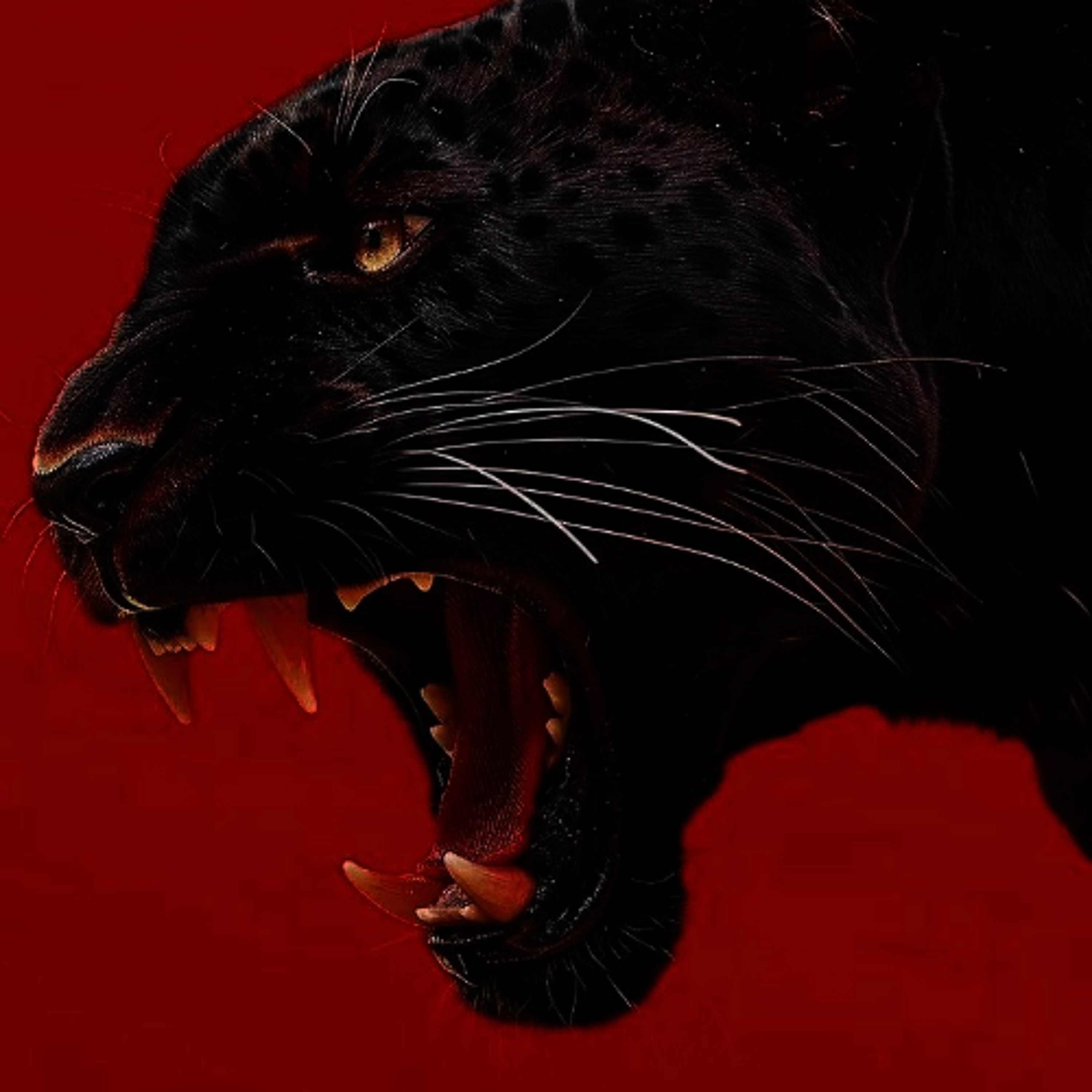 Nastyness 2 episode artwork