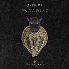 PREMIERE: Zoonido - Danza Del Fuego [Tchamma Yapu Records]