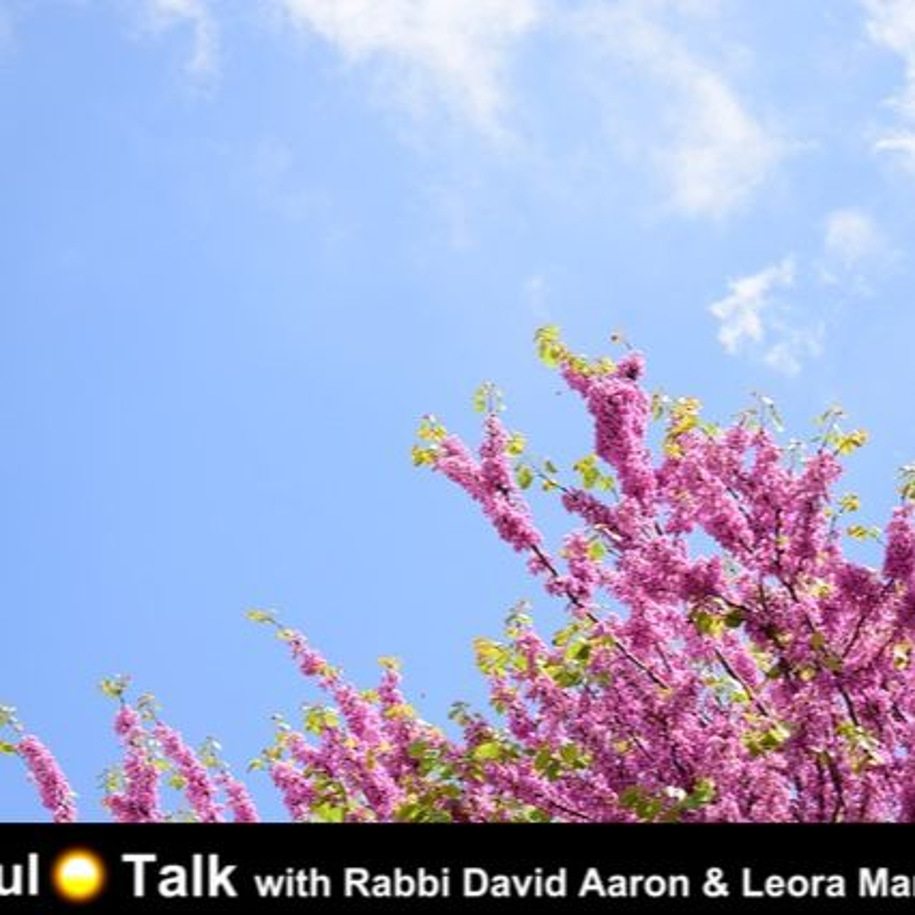 Israel News Talk Radio