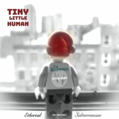 PREMIERE: The Scumfrog - Tiny Little Human (The Oddness Out Of Reach Remix) [EtherealSubterranean]