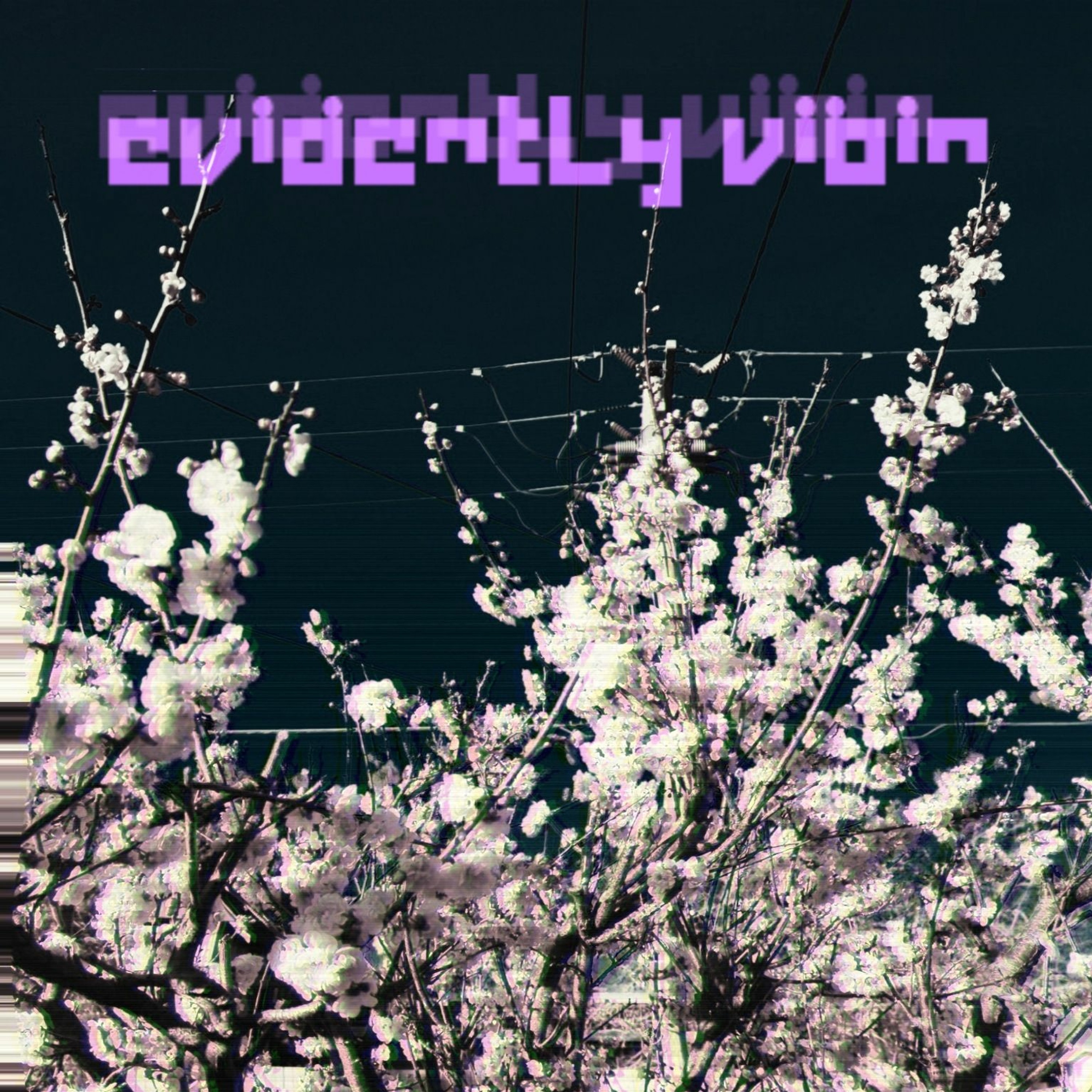Evidently Vibing episode artwork