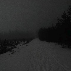 Intimate - Crystal Castles (areiv remix) (slowed)