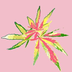 O Oh grüne Blumen (Minimal Relax Dub Tech Mix)