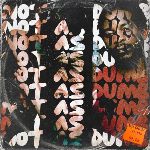 The Found Sound Orchestra - Not As Dumb (As You Make Out)