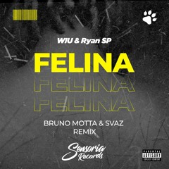 WIU, Ryan Sp - Felina (Bruno Motta, SVAZ Remix) [Free Download]