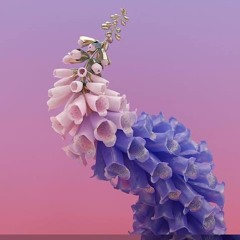 Whats That Called Again? - MATTIX